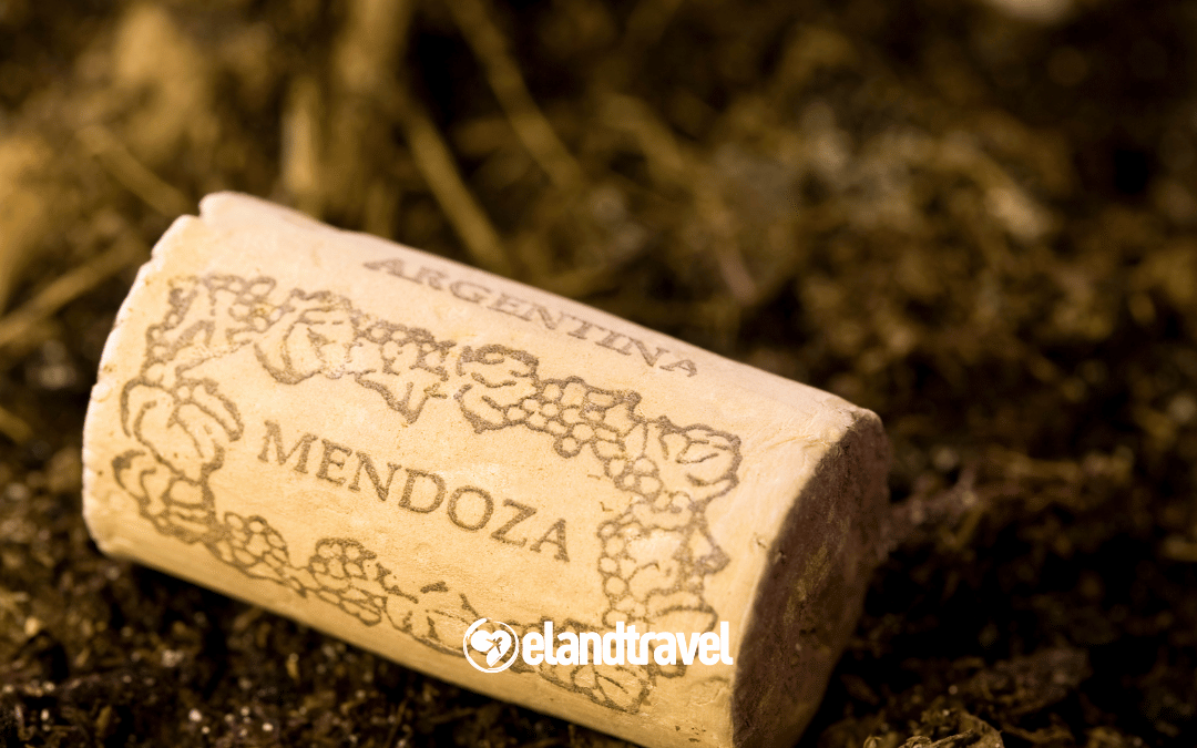 Mendoza: el valor de la pausa y el diseño detrás de la copa